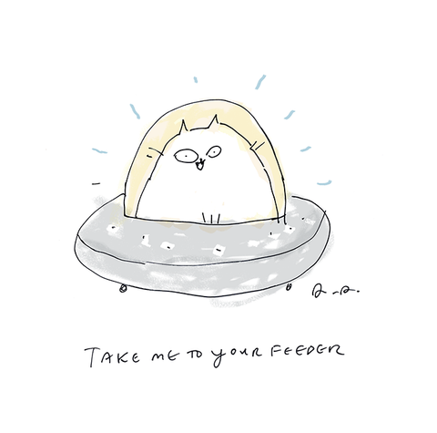Take Me to Your Feeder - Cat Print