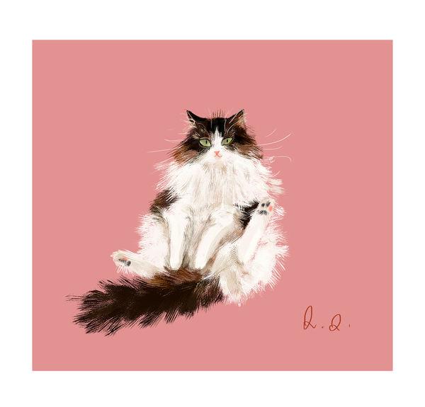 Ragdoll Cat Print