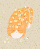 Flower Shower Cat Print
