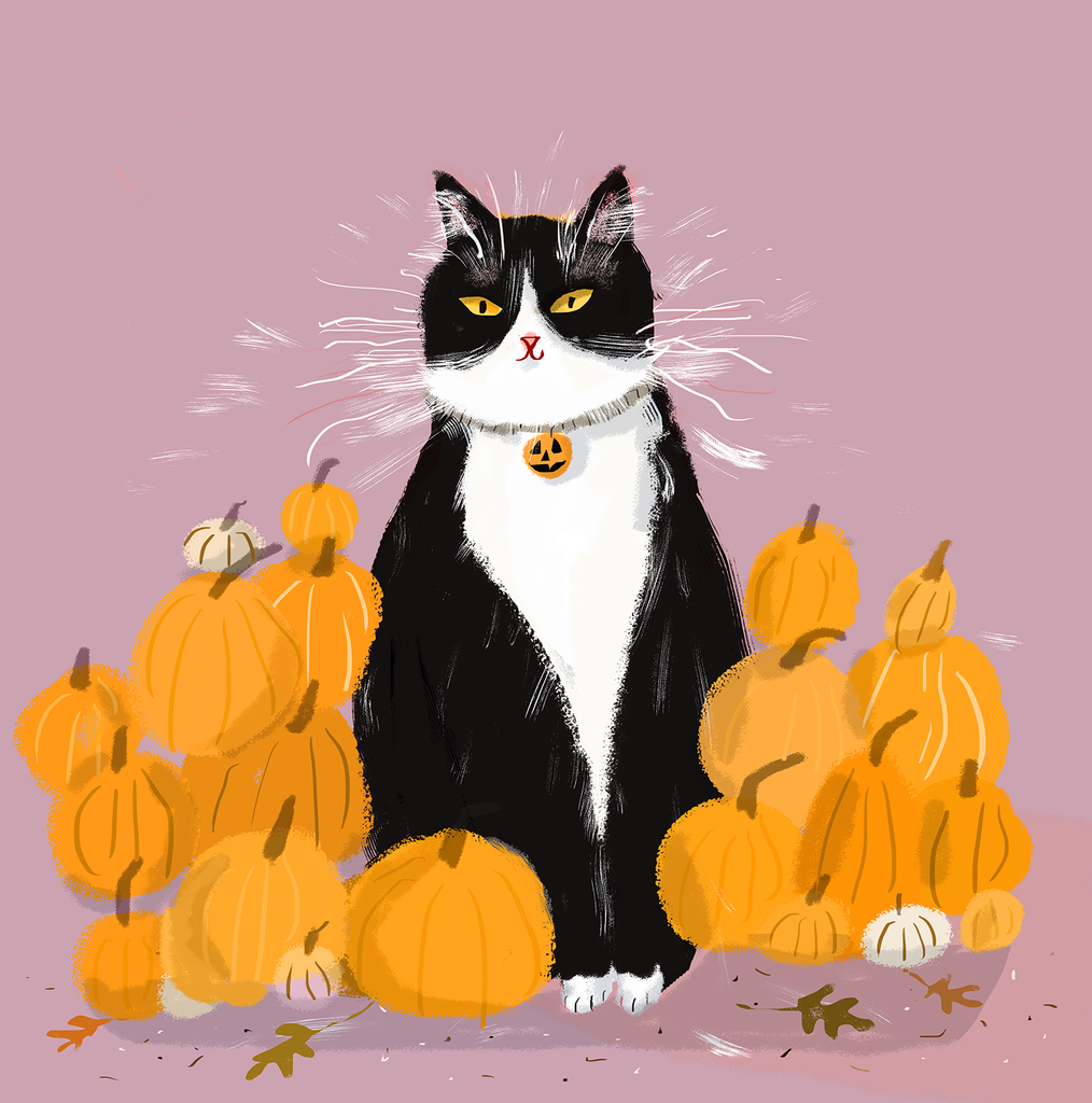 Pumpkin Lover Cat Print - Main Image
