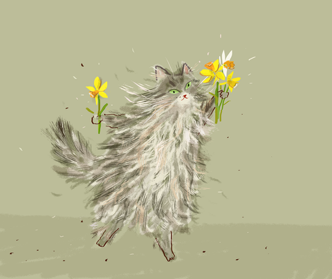 Spring Dance Cat Print