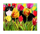 Tulip Baby - Cat Print