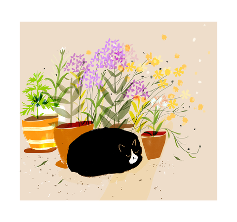 Wildflower Cat Print