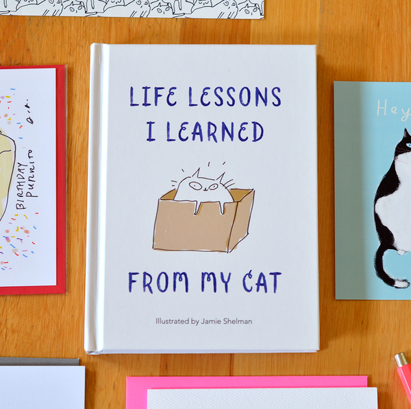 Book- Life Lessons I Learned from My Cat