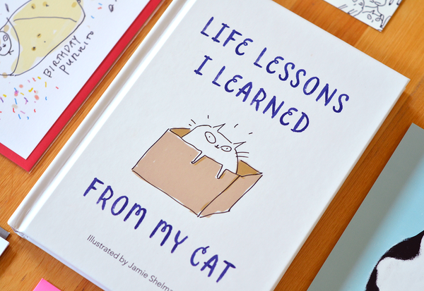 Book- Life Lessons I Learned from My Cat
