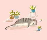 House Cat - Fine Art Print