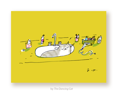 Cat in Sink Card