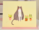 Grey Buddy Cat Card