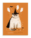 Halloween Classics Cat Card Set - Mixed Set of 4