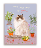 The Dancing Cat Flower Card Set - Mixed Set of 10 Cards