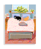 Bed Cats Card