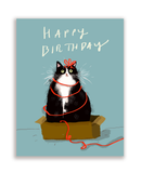 Birthday Box Kitty - Card