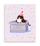 Birthday Box- Birthday Cat Card