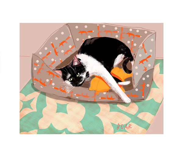 Custom Cat Portrait