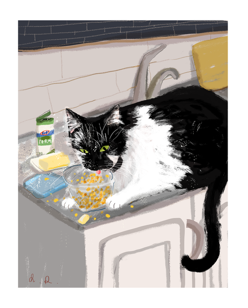 Custom Cat Portrait
