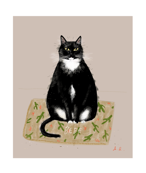 Custom Cat Portrait