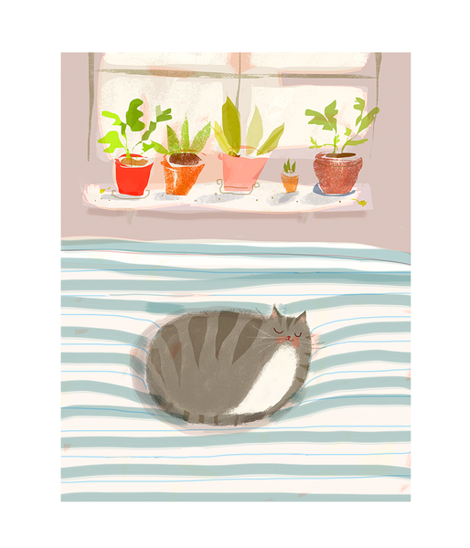 Cat Nap Print