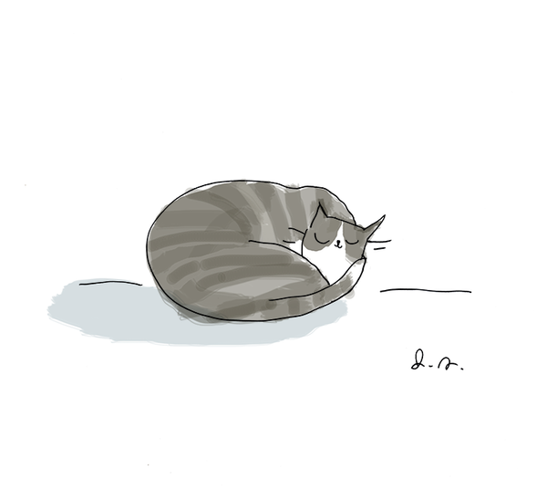 Cat Nap Print- Grey Cat - Find Your Bliss