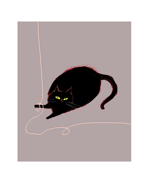Cat String Print