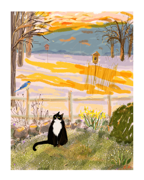 Country Cat Sunset - Print