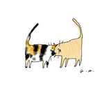Headbutt Cat print- CUSTOM Colors