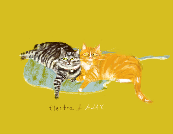 Custom Cat Portrait
