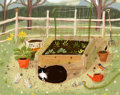Spring Garden Baby Cat Print