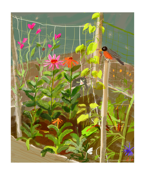 In the Garden Cat Print
