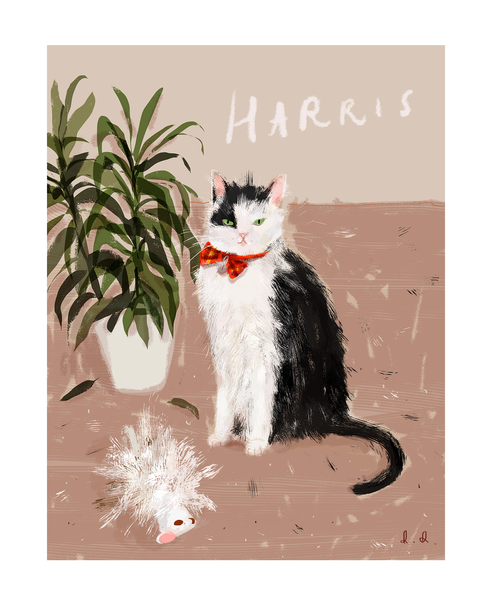 Custom Cat Portrait