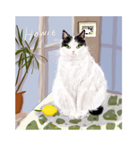 Custom Cat Portrait