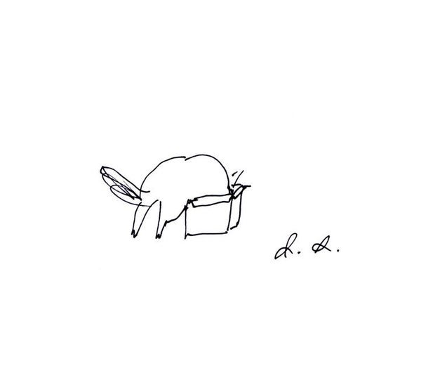 Cat in Box Print