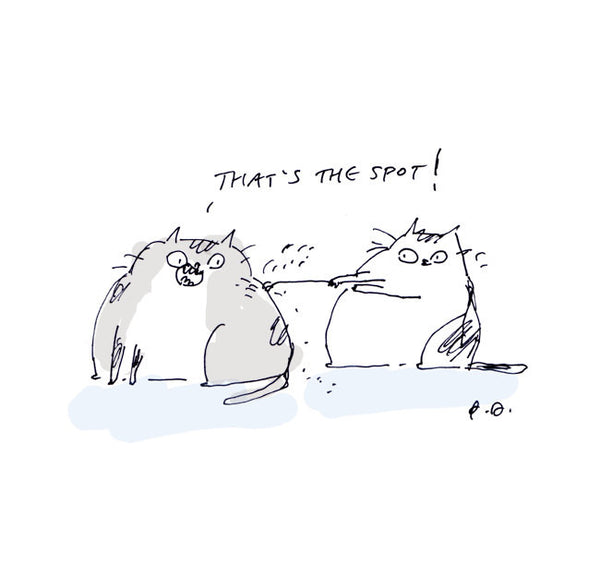 That's the Spot - Cat Print