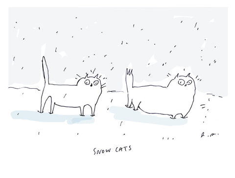 Snow Cats