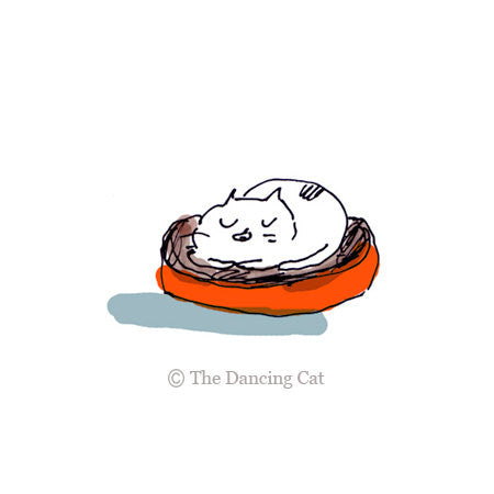 Sleepy Time Cat- Temporary Tattoo- The Dancing Cat- Cattoo