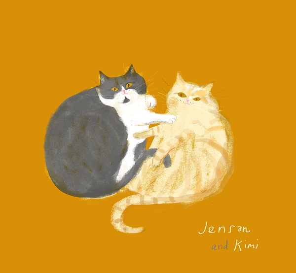 Custom Cat Portrait