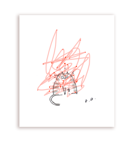 Laser Cat Print
