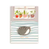 Miss You Cat Nap Card