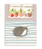 Miss You Cat Nap Card