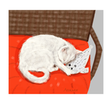 Custom Cat Portrait