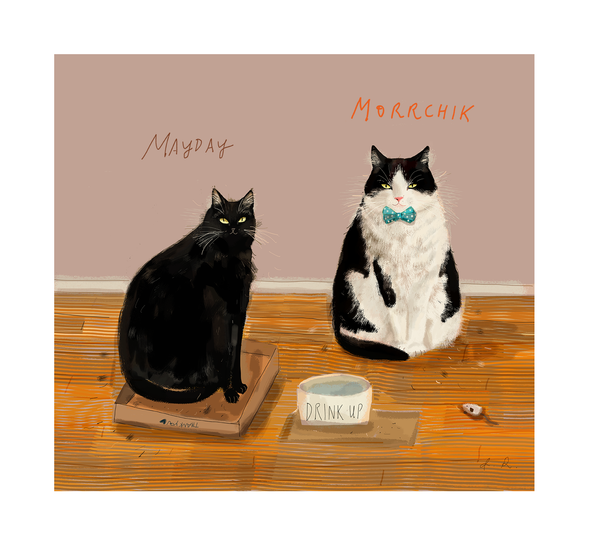 Custom Cat Portrait