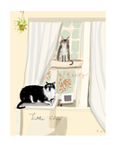 Custom Cat Portrait