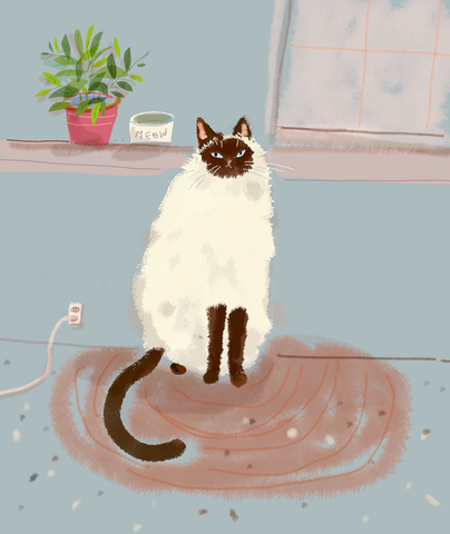 House Cat - Siamese Cat Print
