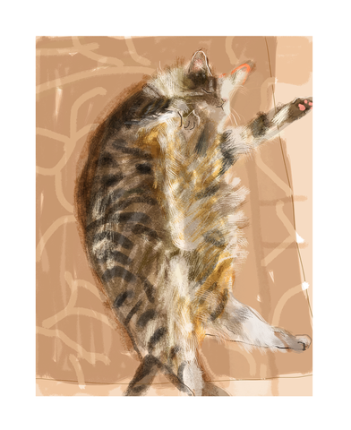 Sun Bun Cat Print
