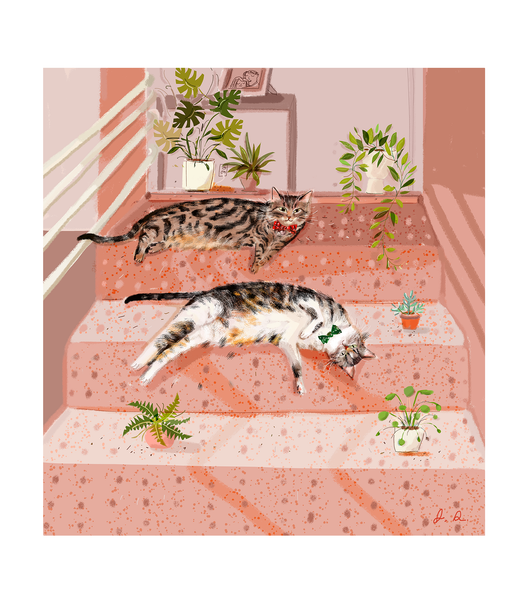 Custom Cat Portrait